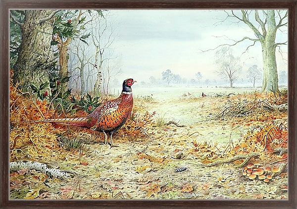 Постер Cock Pheasant 1 с типом исполнения На холсте в раме в багетной раме 221-02