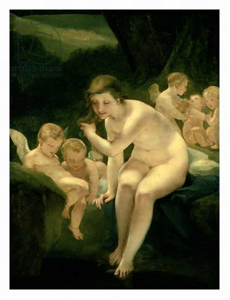 Постер Venus Bathing or Innocence с типом исполнения На холсте в раме в багетной раме 221-03
