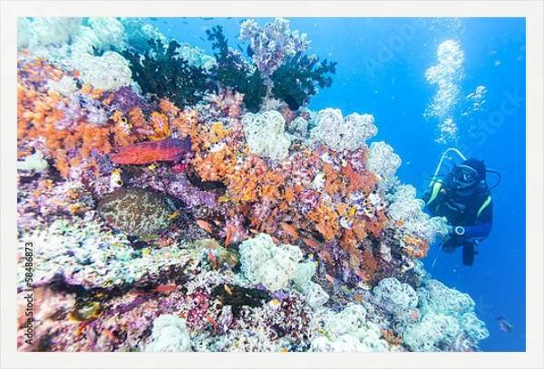 Постер Дайвер на коралловом рифе с типом исполнения На холсте в раме в багетной раме 1727.7010