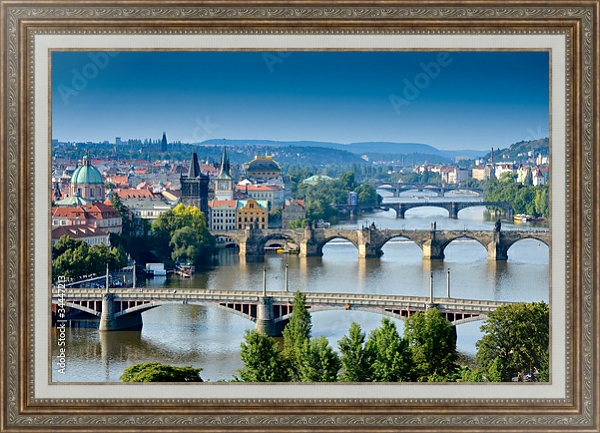 Постер Мосты Праги с типом исполнения На холсте в раме в багетной раме 595.M52.330