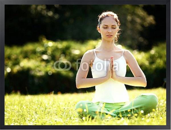 Постер Медитация в парке с типом исполнения На холсте в раме в багетной раме 1727.8010