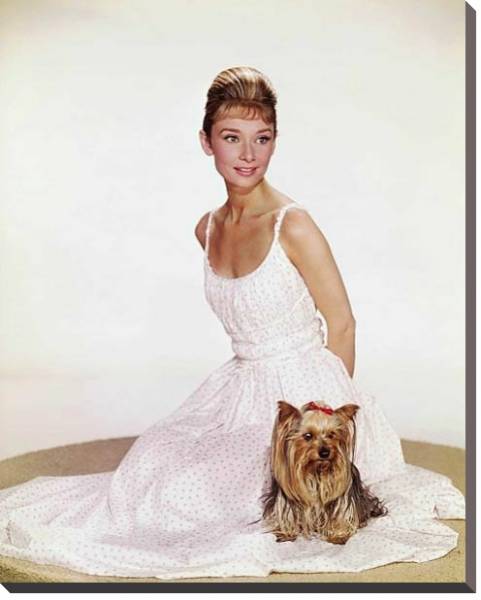 Постер Hepburn, Audrey 5 с типом исполнения На холсте без рамы