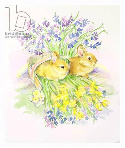 Постер Rabbits in a basket with Daffodils and Bluebells с типом исполнения На холсте в раме в багетной раме 221-03