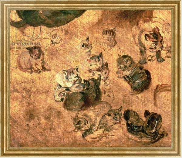 Постер Study of cats, 1616 с типом исполнения На холсте в раме в багетной раме NA033.1.051