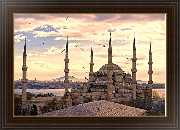 Постер Мечеть Султанахмет. Стамбул с типом исполнения На холсте в раме в багетной раме 1.023.151