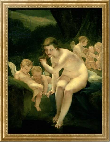 Постер Venus Bathing or Innocence с типом исполнения На холсте в раме в багетной раме NA033.1.051