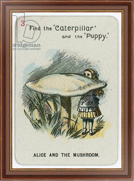 Постер Alice and the Mushroom с типом исполнения На холсте в раме в багетной раме 35-M719P-83