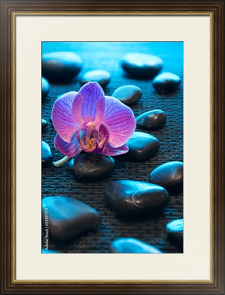 Постер Орхидея и камни 4 с типом исполнения Под стеклом в багетной раме 1.023.036