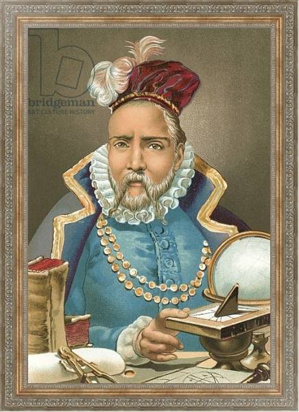 Постер Tycho Brahe с типом исполнения На холсте в раме в багетной раме 484.M48.310
