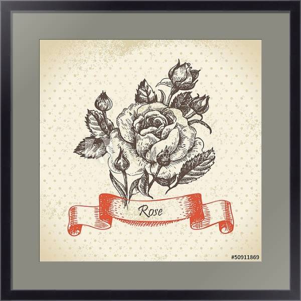 Постер Иллюстрация с розой и бутонами с типом исполнения Под стеклом в багетной раме 221-01