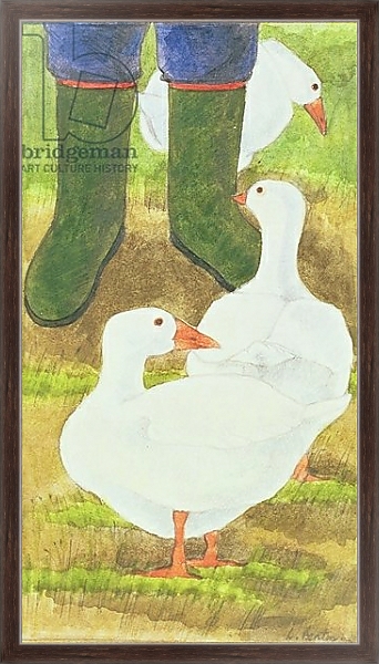 Постер Ducks and Green Wellies с типом исполнения На холсте в раме в багетной раме 221-02
