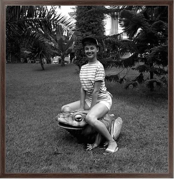 Постер Hepburn, Audrey 68 с типом исполнения На холсте в раме в багетной раме 221-02