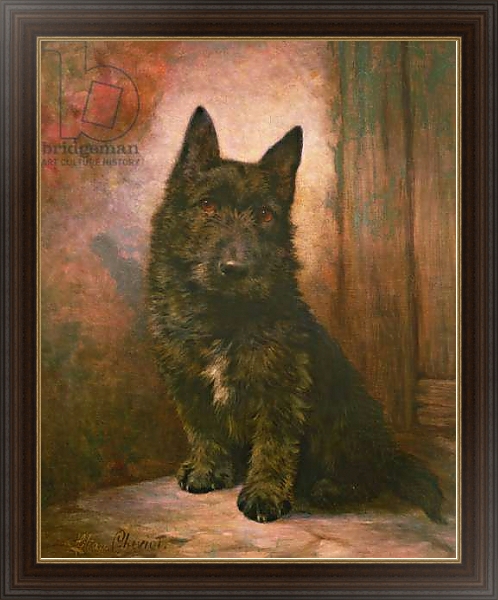 Постер Scottie Puppy с типом исполнения На холсте в раме в багетной раме 1.023.151
