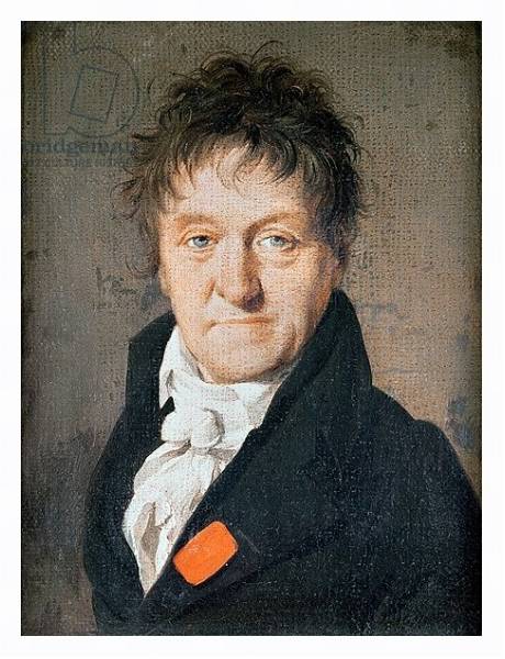 Постер Portrait of Lazare Nicolas Marguerite Carnot 1813 с типом исполнения На холсте в раме в багетной раме 221-03