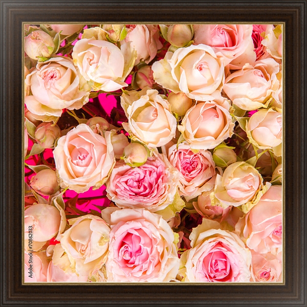 Постер Розы. Розовое облако. с типом исполнения На холсте в раме в багетной раме 1.023.151