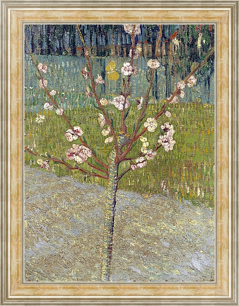 Постер Миндальное дерево в цвету, 1888 с типом исполнения На холсте в раме в багетной раме NA053.0.115