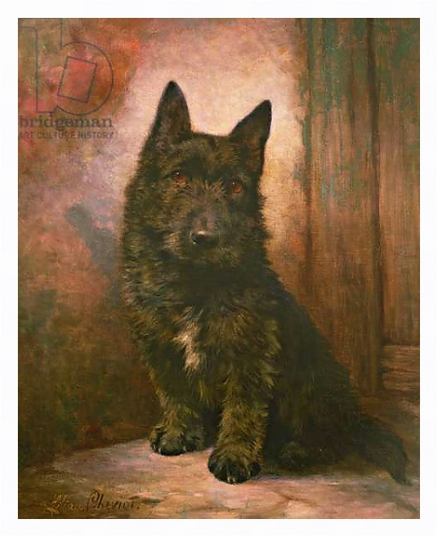 Постер Scottie Puppy с типом исполнения На холсте в раме в багетной раме 221-03