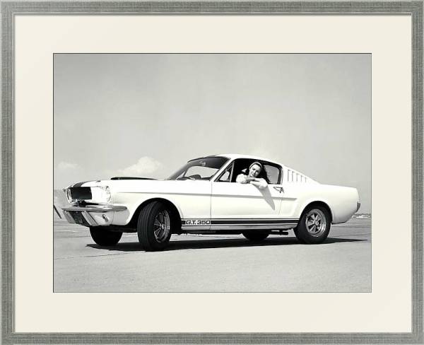 Постер Shelby GT350 '1965 с типом исполнения Под стеклом в багетной раме 1727.2510