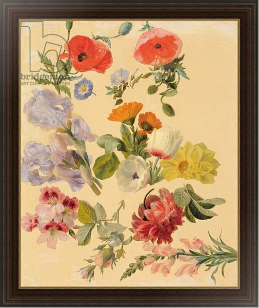 Постер Studies of Summer Flowers с типом исполнения На холсте в раме в багетной раме 1.023.151