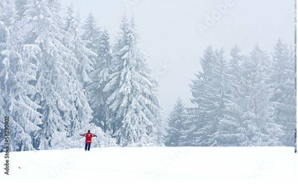 Постер Лыжник в зимнем лесу с типом исполнения На холсте без рамы