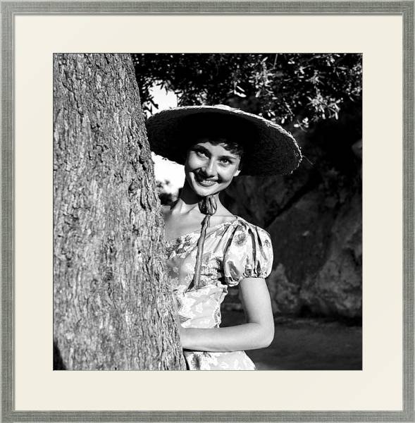 Постер Hepburn, Audrey 69 с типом исполнения Под стеклом в багетной раме 1727.2510