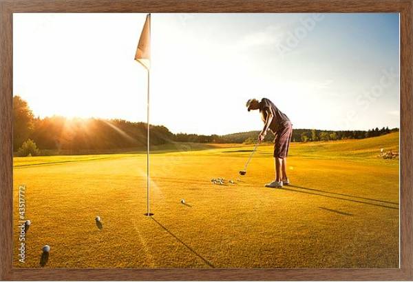 Постер Тренировка игрока в гольф с типом исполнения На холсте в раме в багетной раме 1727.4310