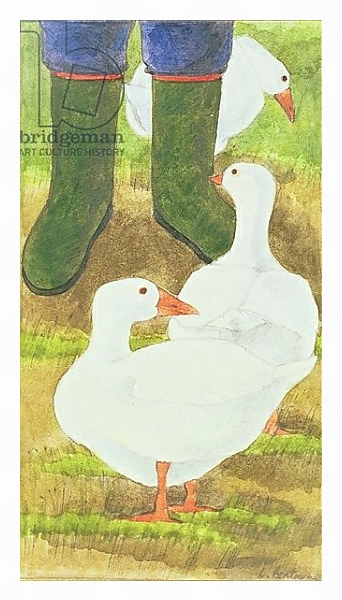 Постер Ducks and Green Wellies с типом исполнения На холсте в раме в багетной раме 221-03