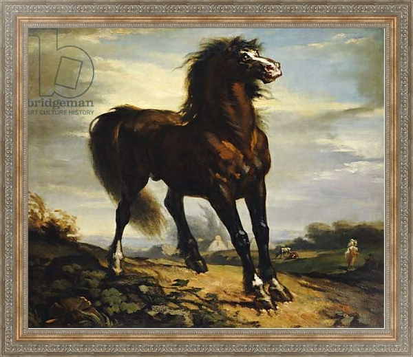 Постер The Horse с типом исполнения На холсте в раме в багетной раме 484.M48.310