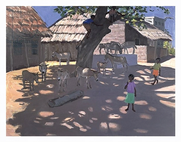 Постер Donkeys, Lamu, Kenya, 1995 с типом исполнения На холсте в раме в багетной раме 221-03