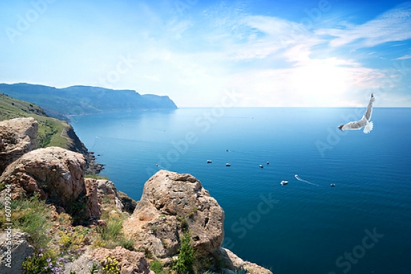 Постер Крым, чайка над морем с типом исполнения На холсте без рамы