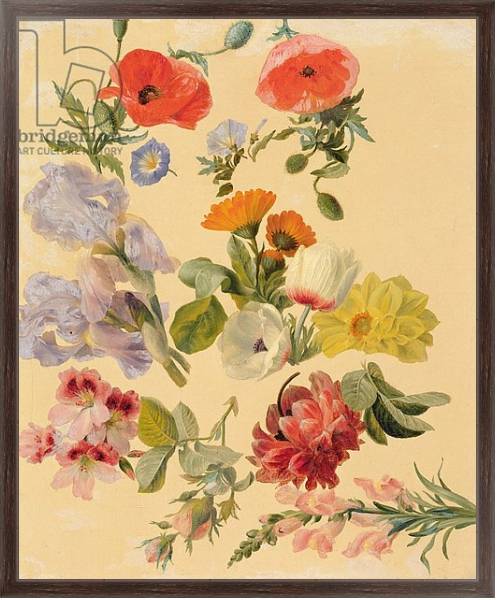 Постер Studies of Summer Flowers с типом исполнения На холсте в раме в багетной раме 221-02