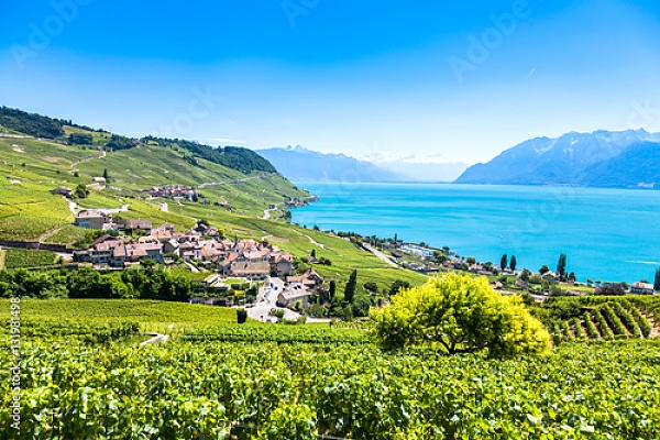 Постер Виноградники в регионе Лаво, Швейцария с типом исполнения На холсте без рамы