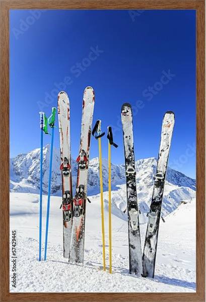 Постер Горные лыжи с типом исполнения На холсте в раме в багетной раме 1727.4310