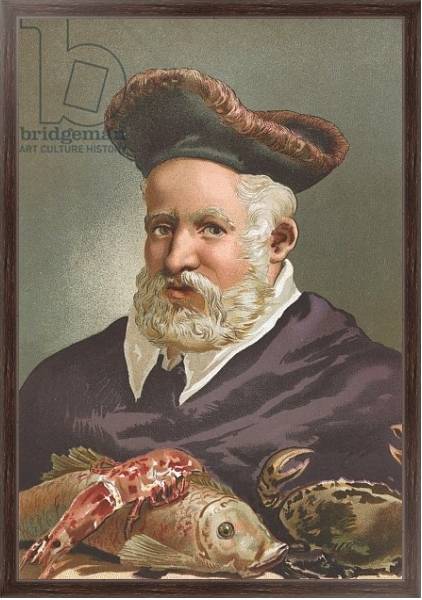 Постер Guillaume Rondelet с типом исполнения На холсте в раме в багетной раме 221-02