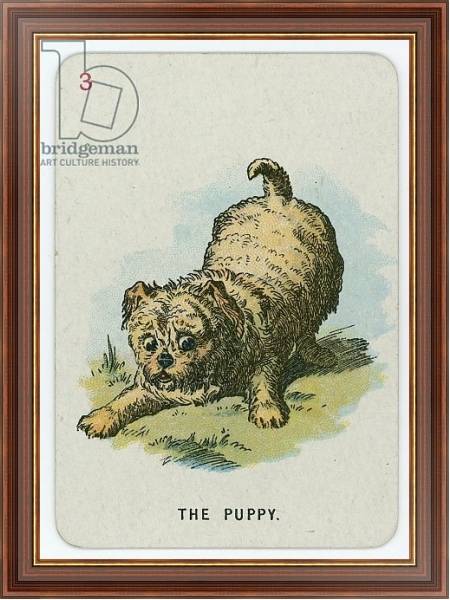 Постер The Puppy 2 с типом исполнения На холсте в раме в багетной раме 35-M719P-83