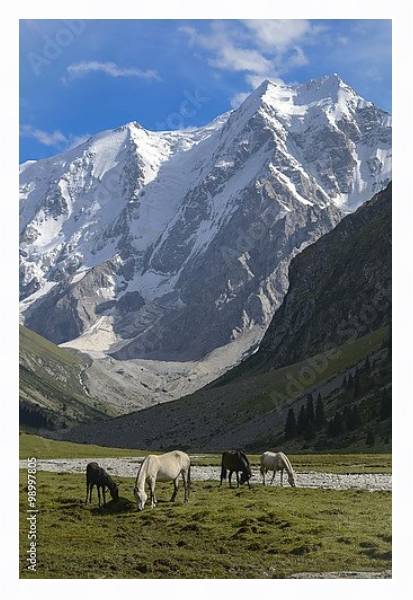 Постер Дикие лошади на солнечной поляне в горах 2 с типом исполнения На холсте в раме в багетной раме 221-03