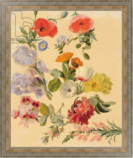 Постер Studies of Summer Flowers с типом исполнения На холсте в раме в багетной раме 484.M48.310