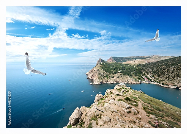 Постер Крым, чайки над морем с типом исполнения На холсте в раме в багетной раме 221-03