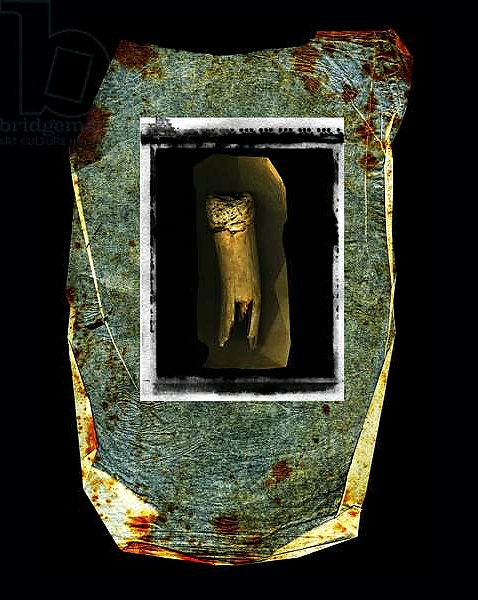 Постер Mare Nostrum, 2010collagraph,digital photography с типом исполнения На холсте без рамы