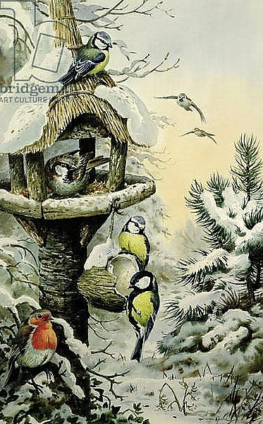 Постер Winter Bird Table with Blue Tits, Great Tits, House Sparrows and a Robin с типом исполнения На холсте без рамы
