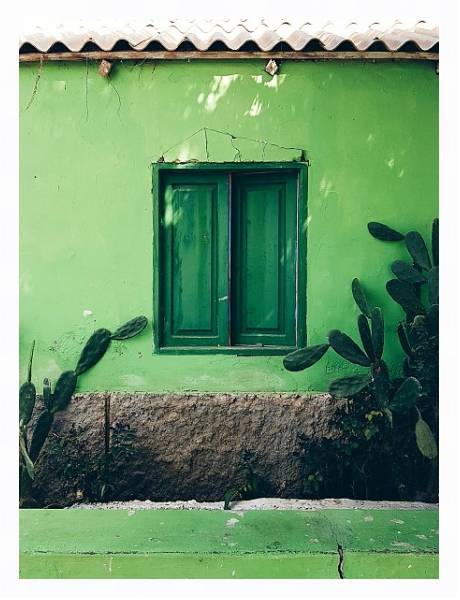 Постер Зеленый дом с кактусами с типом исполнения На холсте в раме в багетной раме 221-03