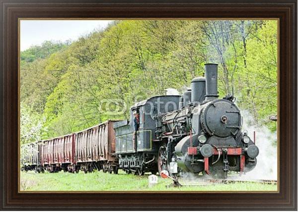 Постер Грузовой поезд, Сербия с типом исполнения На холсте в раме в багетной раме 1.023.151