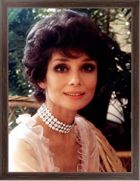 Постер Hepburn, Audrey 58 с типом исполнения На холсте в раме в багетной раме 221-02
