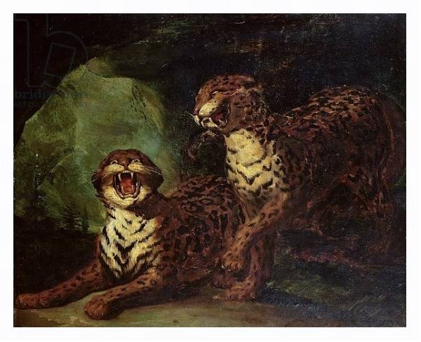 Постер Two Leopards, c. 1820 с типом исполнения На холсте в раме в багетной раме 221-03