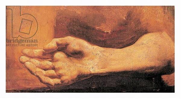 Постер Study of a Hand and Arm с типом исполнения На холсте в раме в багетной раме 221-03
