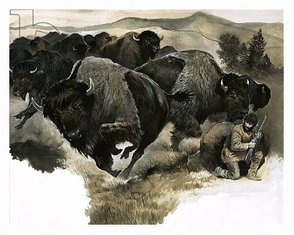 Постер Charging buffalo с типом исполнения На холсте в раме в багетной раме 221-03
