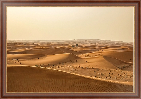 Постер Пески пустыни 1 с типом исполнения На холсте в раме в багетной раме 35-M719P-83