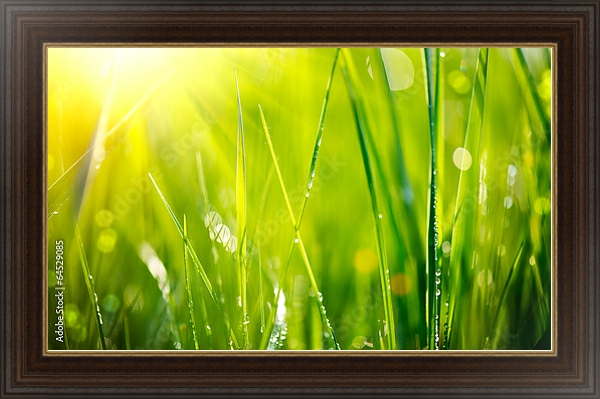 Постер Весенняя трава с типом исполнения На холсте в раме в багетной раме 1.023.151