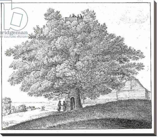 Постер Hollow Tree at Hampstead, 1663 с типом исполнения На холсте без рамы