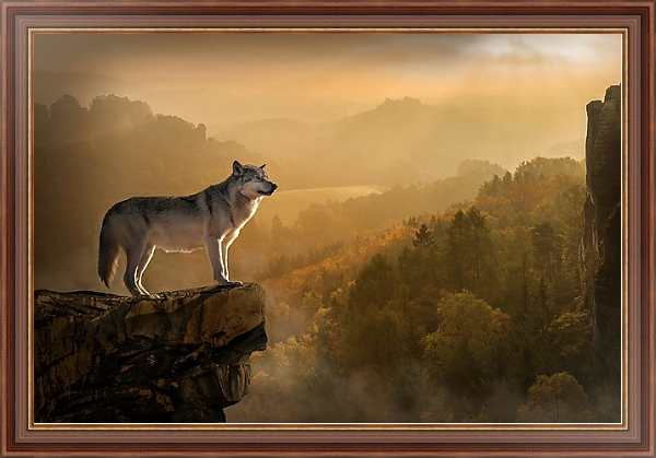 Постер Волк на скале с типом исполнения На холсте в раме в багетной раме 35-M719P-83